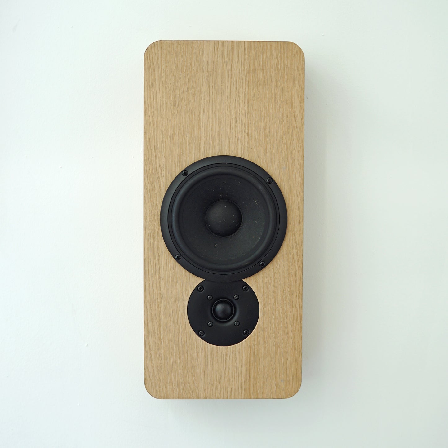 JWSB-165 6.5" 2 way sealed on-wall Speaker